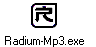 Radium-Mp3.exe